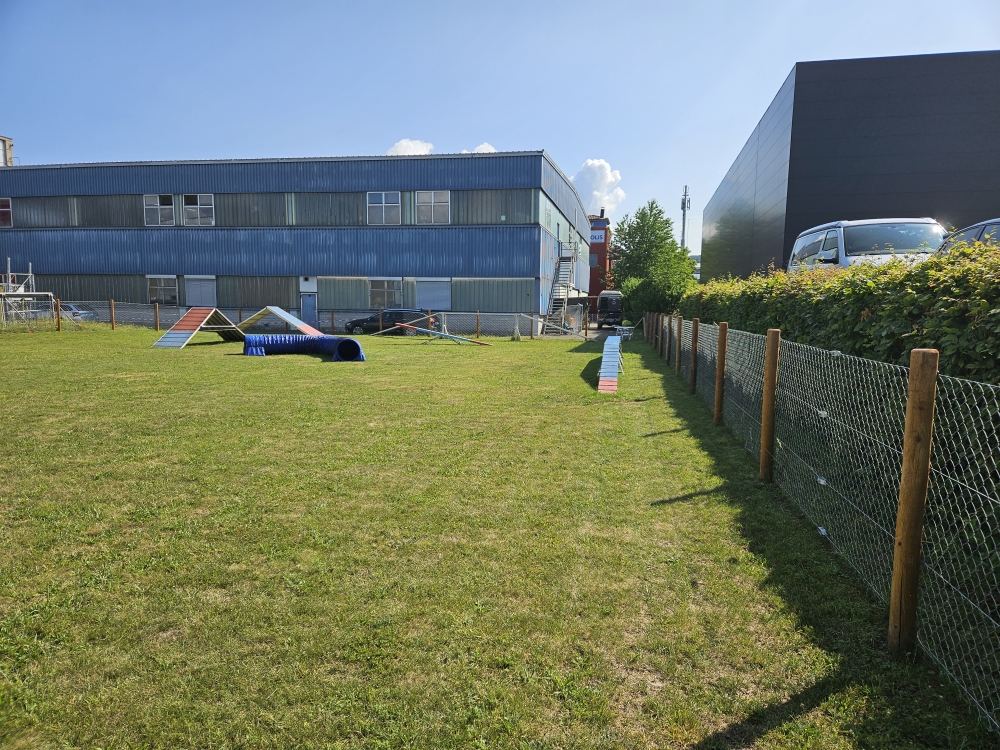 Hundeplatz Übersicht